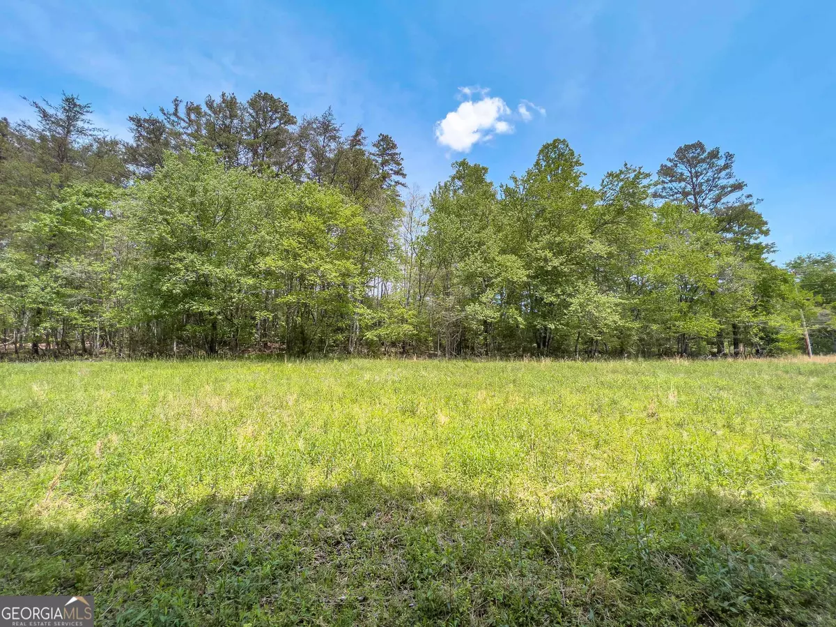 Mineral Bluff, GA 30559,23.87 Hardscrabble