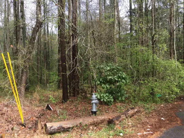 Stockbridge, GA 30281,LOT#B30 Scott