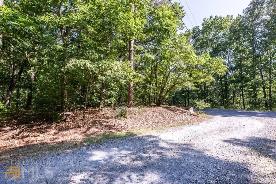 LT 1 Woody, Ellijay, GA 30540