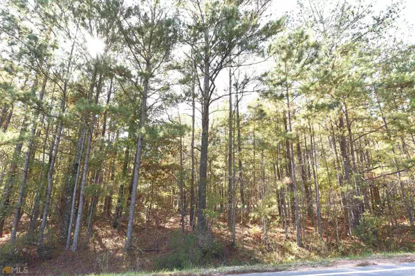 LOT 16 Bohannon RD #LOT 16, Grantville, GA 30220