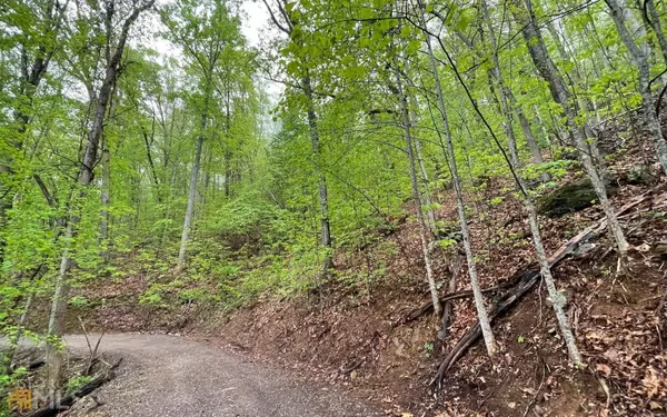 Hayesville, NC 28904,LOT 59 Possum Hollow