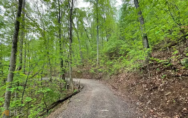 Hayesville, NC 28904,LOT 59 Possum Hollow