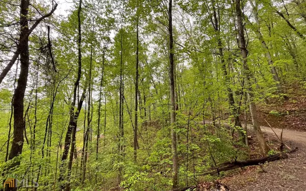 Hayesville, NC 28904,LOT 59 Possum Hollow