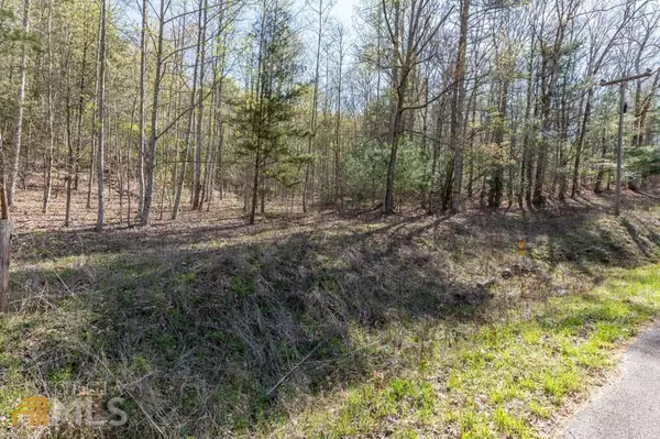 Hiawassee, GA 30546,20+AC Cynth Creek RD