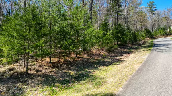 LOT 43 Clay, Blairsville, GA 30512