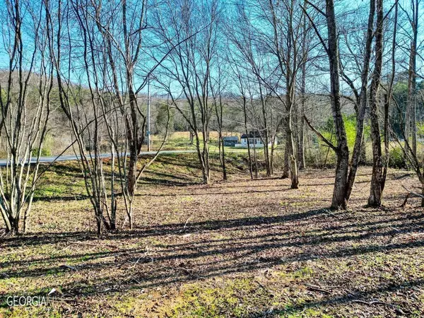 Blairsville, GA 30512,194 Fortenberry RD