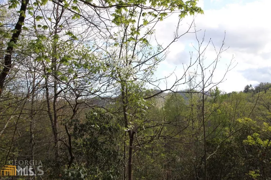 0 Shadow Mountain DR #36, Dillard, GA 30537