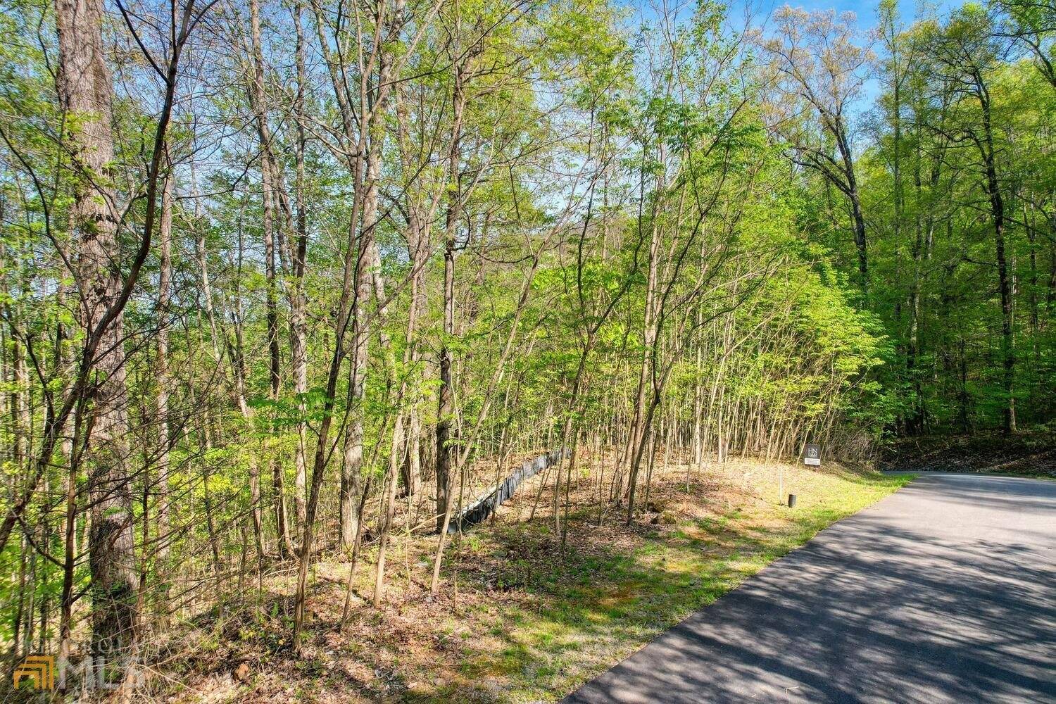 Young Harris, GA 30582,LT 4 Overlook At Young Harris
