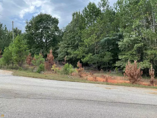 Monticello, GA 31064,0 Anna Claire Ct Lot 11