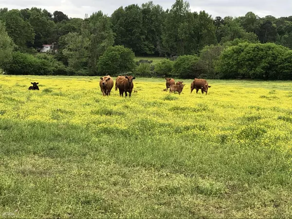 Eastanollee, GA 30538,0 Hayes & Defore RD