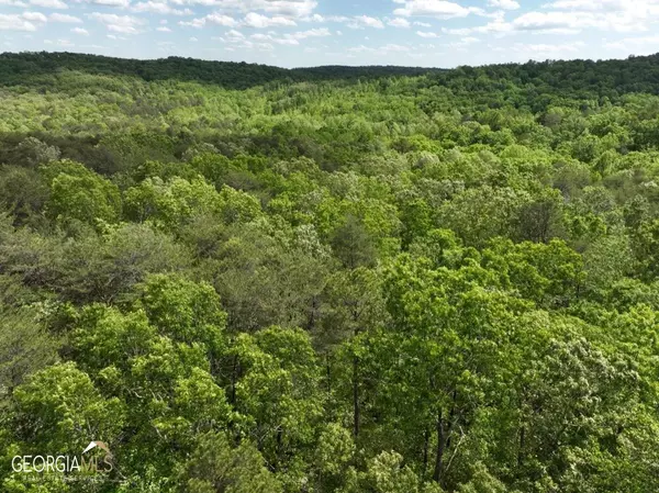 Toccoa, GA 30577,247 Trembly Bald DR