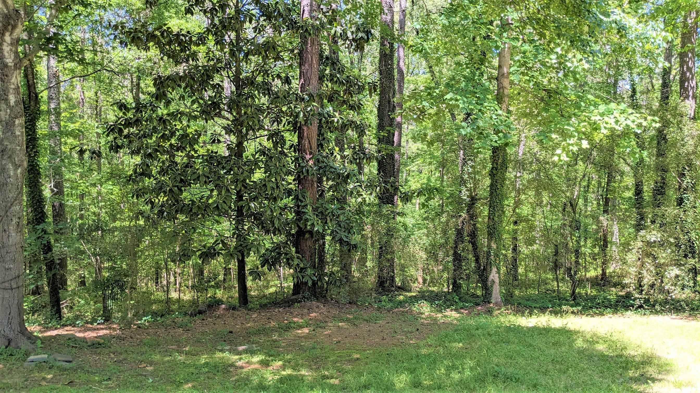 Jonesboro, GA 30236,315 Longwood PL