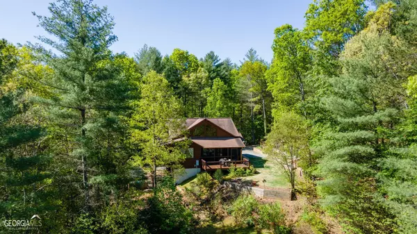 Mineral Bluff, GA 30559,156 Porch Swing