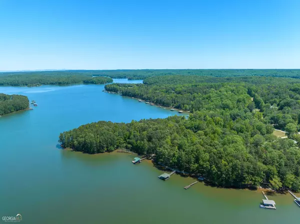 Lavonia, GA 30553,243 Lake View