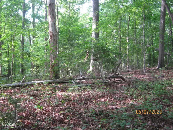 Lavonia, GA 30553,LOTS 14-16D Poplar Springs RD