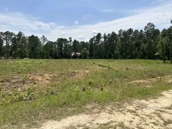 Sylvania, GA 30467,TBD Hollingsworth Dr, Lot 6