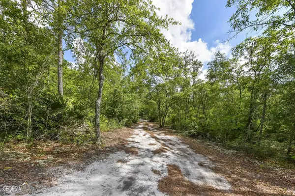 White Oak, GA 31568,190 Strickland Farm