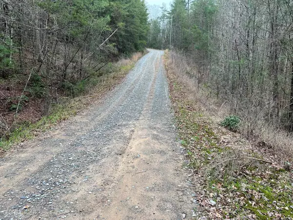 Ellijay, GA 30540,0 Harrison Sluder RD