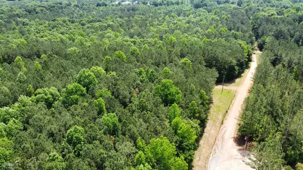 0 County Road 620, Woodland, AL 36280