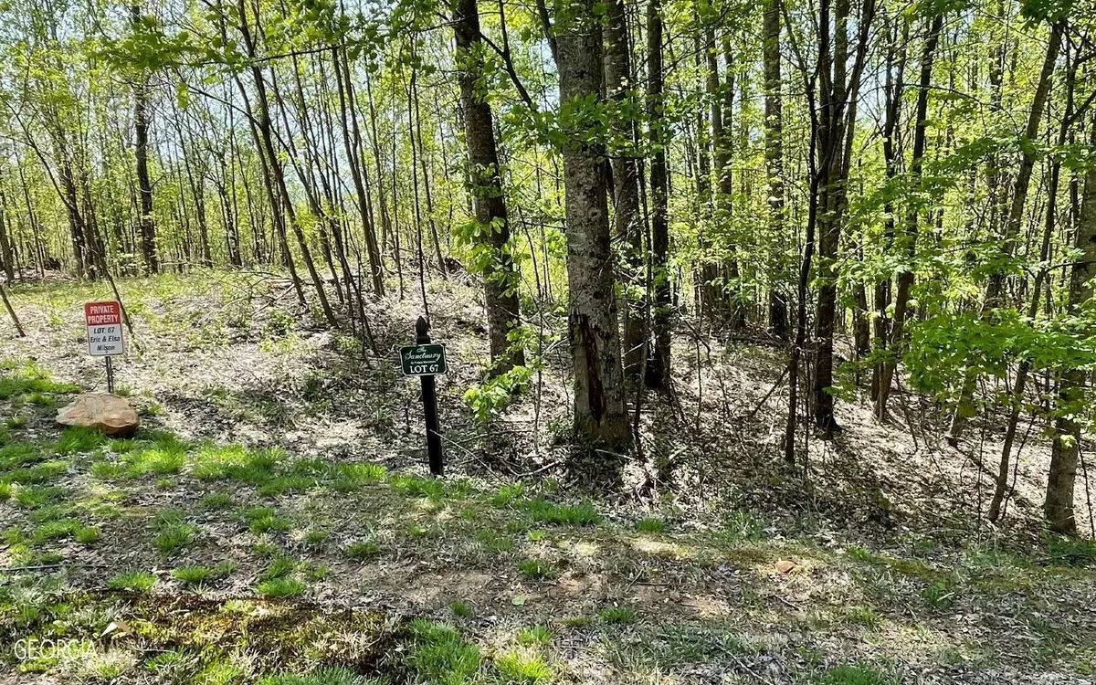 Murphy, NC 28906,LOT 67 The Sanctuary At Vance Mountain
