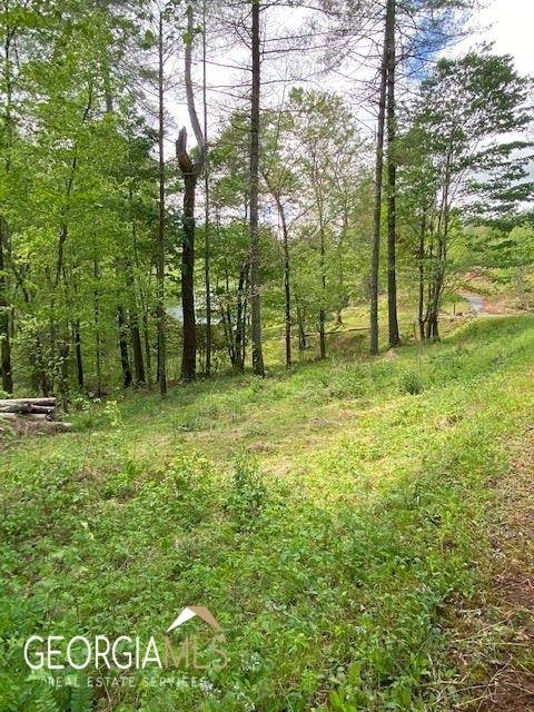 0 Slate Stone DR #11,  Hayesvillelot 11,  NC 28904