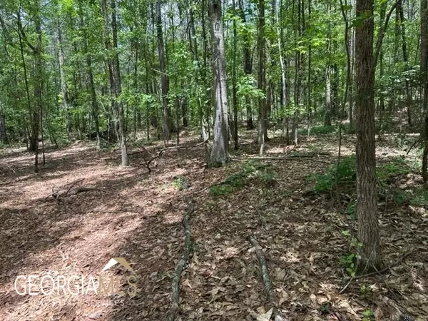 TRACT 2 Jordan - Kudzu Trail, Toccoa, GA 30577