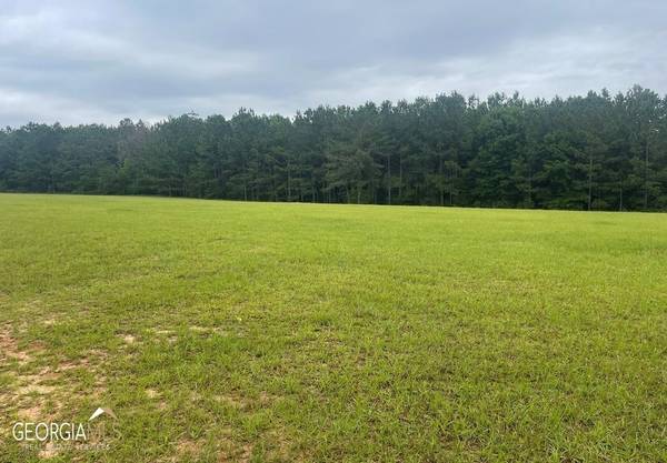 LOT 3 Hwy96, Fort Valley, GA 31030