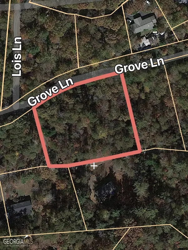 Cleveland, GA 30528,LOT 3 Grove LN