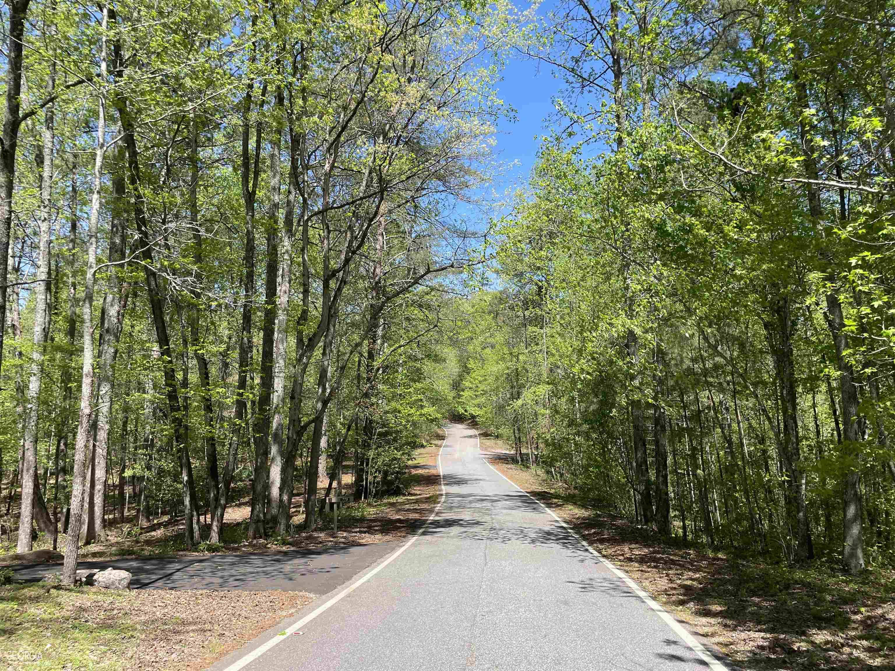 Marble Hill, GA 30148,24002 Waterford WAY #LOT 4852