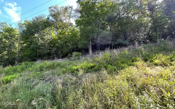 LOT 2 Fires Creek Road, Hayesville, NC 28904
