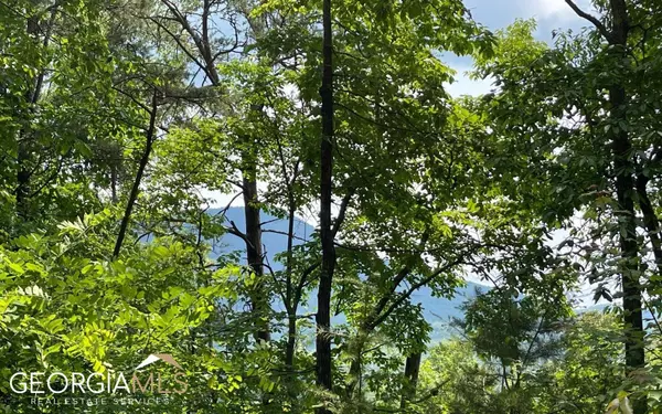 LOT 21 Bald Eagle Drive, Young Harris, GA 30582