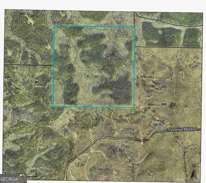 0 Wilmont Mill RD, Culloden, GA 31016