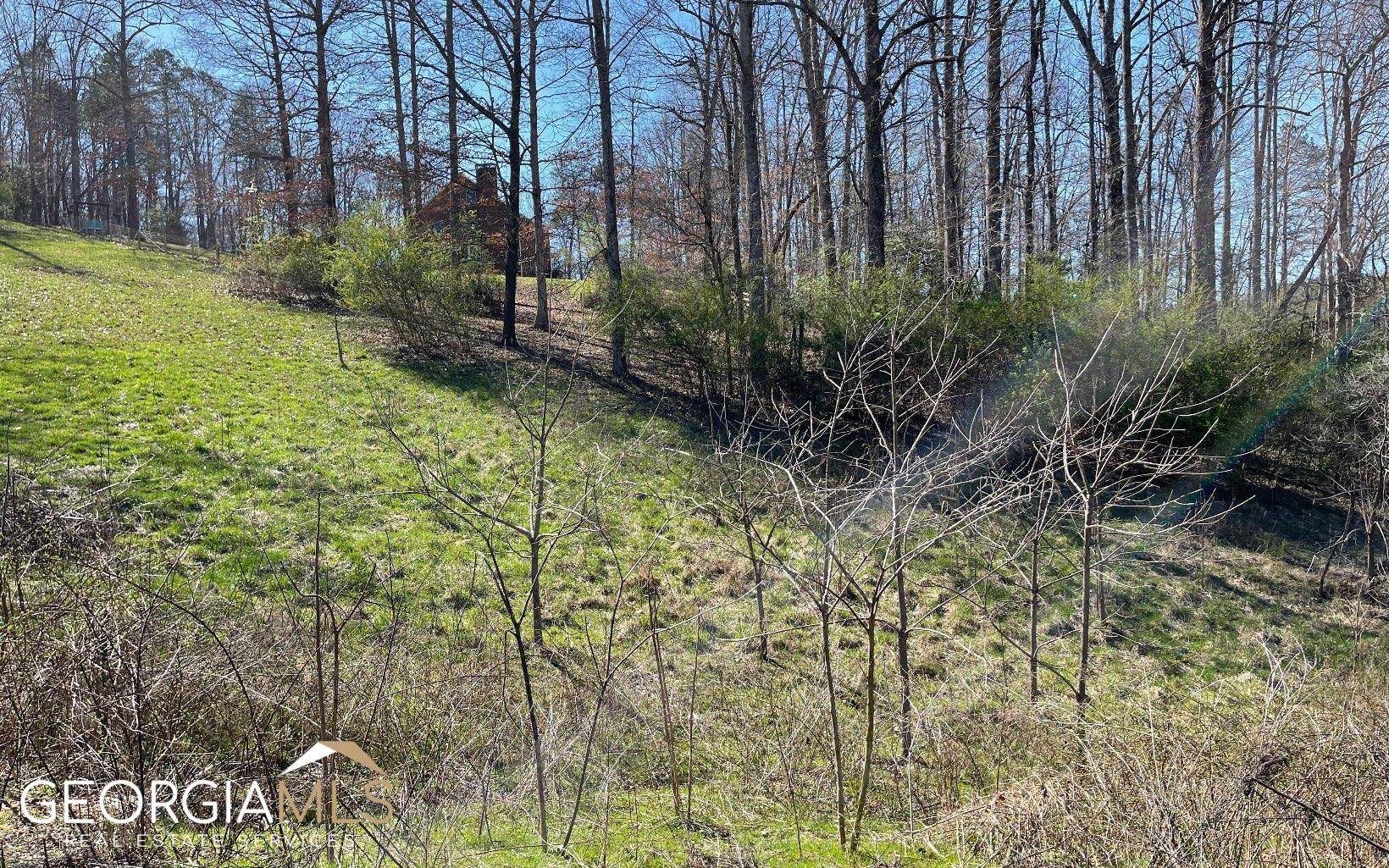 Blairsville, GA 30512,LOT 16 Pleasant Meadows