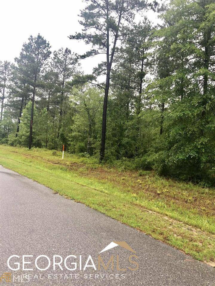Dublin, GA 31021,0 Apalachicola TRL #LOT 40