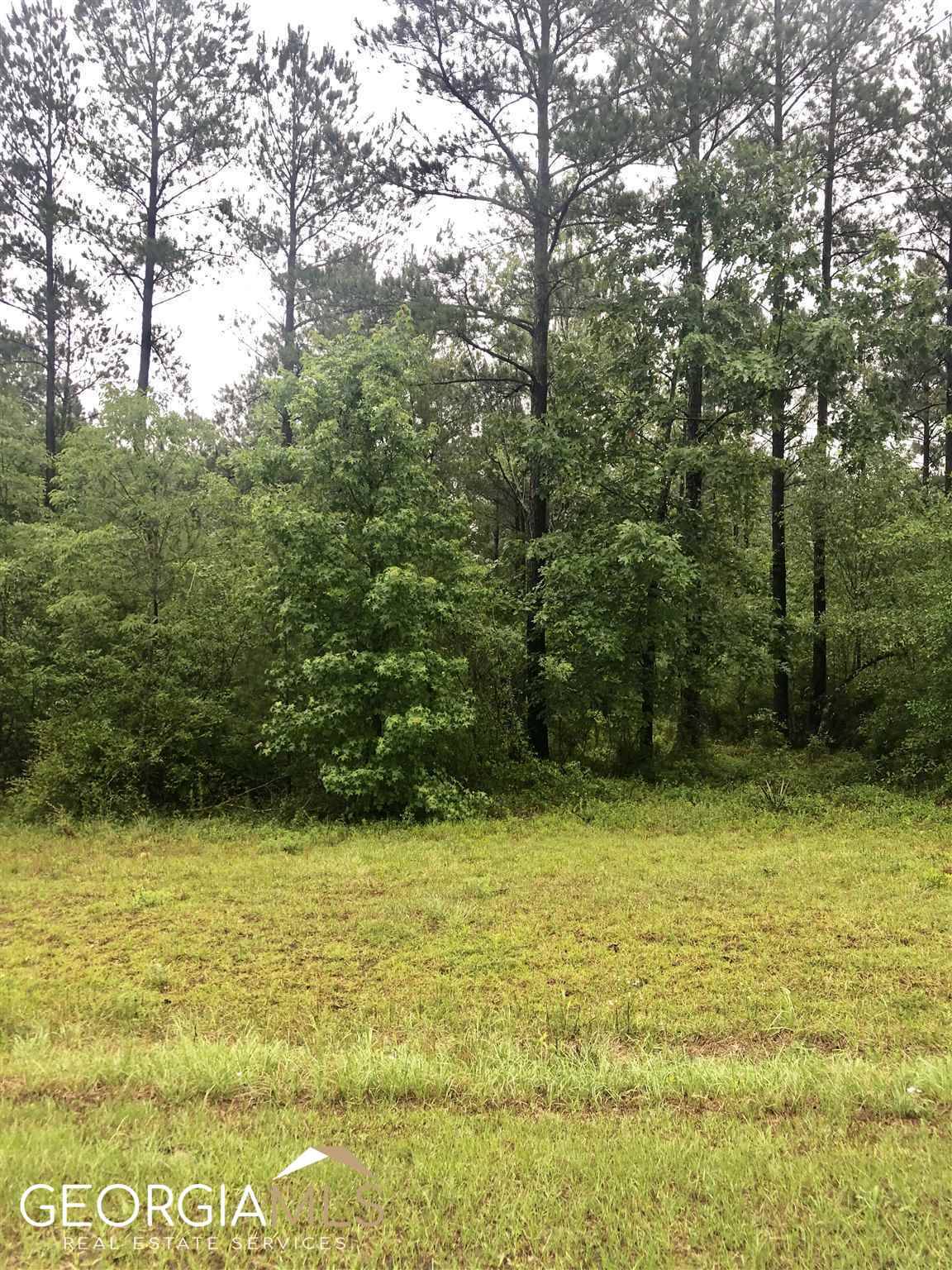 Dublin, GA 31021,0 Grey Wolf TRL #LOT 151