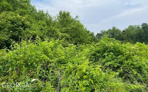 Hayesville, NC 28904,LOTS 8 & 8A Pauls Meadow