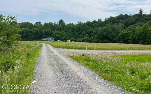 Hayesville, NC 28904,LOTS 8 & 8A Pauls Meadow