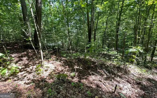 LOT 8D Eagle, Hiawassee, GA 30546