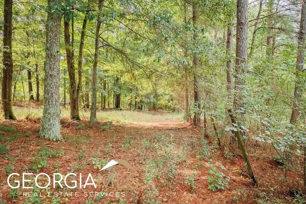 Sharpsburg, GA 30277,TRACT 1 Bob Smith RD