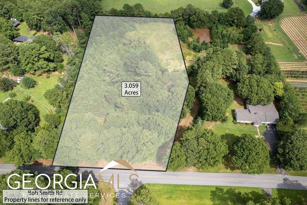 TRACT 1 Bob Smith RD, Sharpsburg, GA 30277