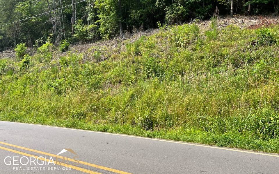 LOT 3 Fires Creek Road, Hayesville, NC 28904