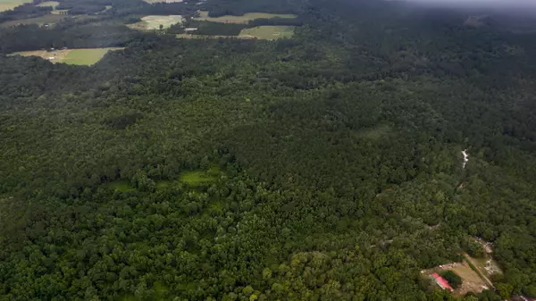 Pearson, GA 31642,0 Honeysuckle LN