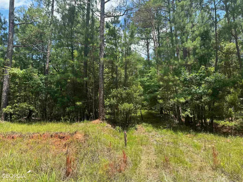 LOT 12 Horseshoe, Sparta, GA 31087