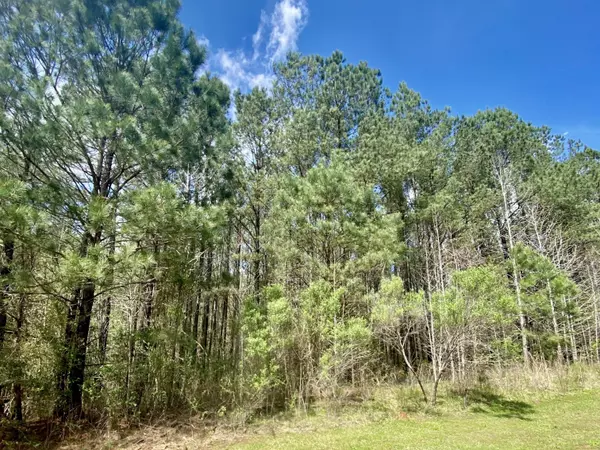 Lagrange, GA 30240,15 Fish Camp RD