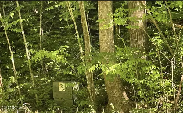 Hayesville, NC 28904,TR 3 Highway 64 East