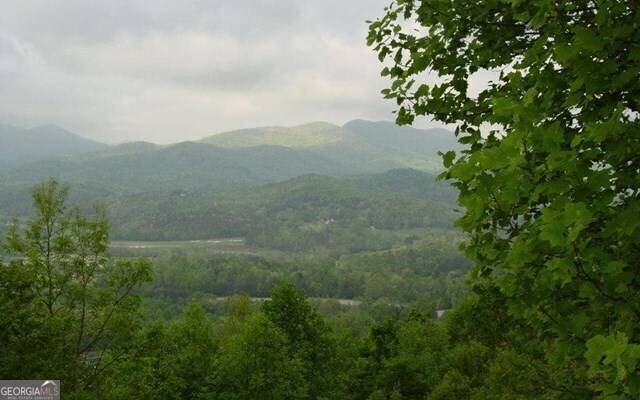 Young Harris, GA 30582,#50 Harris Ridge RD