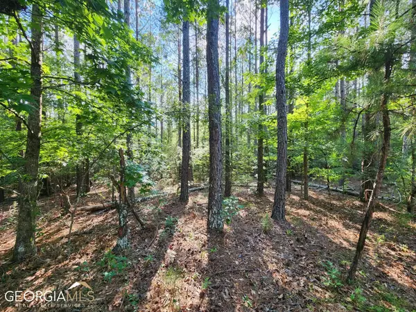 Yatesville, GA 31097,0 Forsyth-yatesville RD