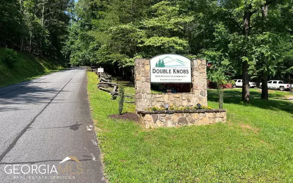 Hayesville, NC 28904,LOT 40 Double Knobs