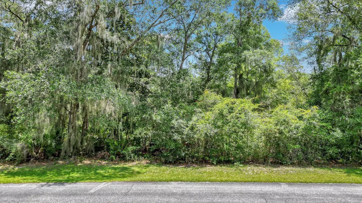 Darien, GA 31305,LOT 59 St Joseph's