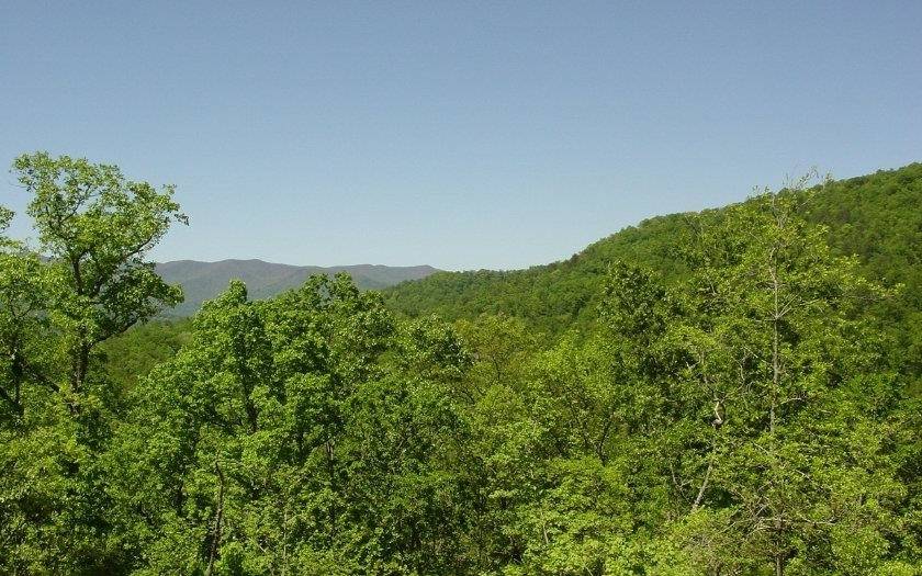 Hiawassee, GA 30546,736 Deer LN
